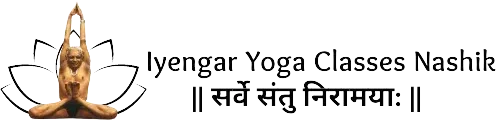 Iyengar Yoga Classes photo 1