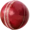 Bhopal Leopards Cricket Academy photo 1