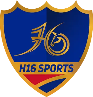 H16 Sports International Football academy photo 1