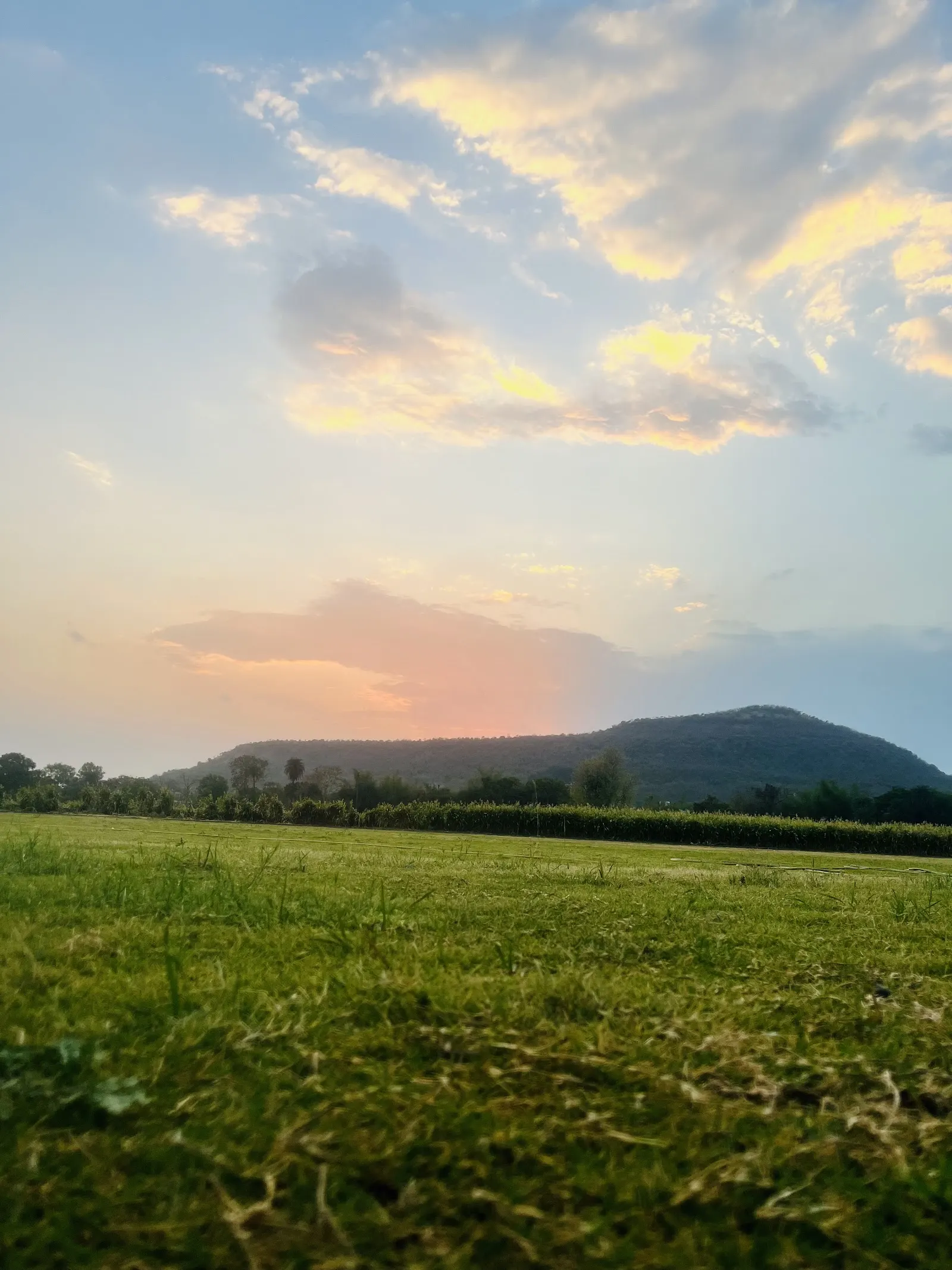 Eklavya Cricket Academy By Sportgenic photo 1