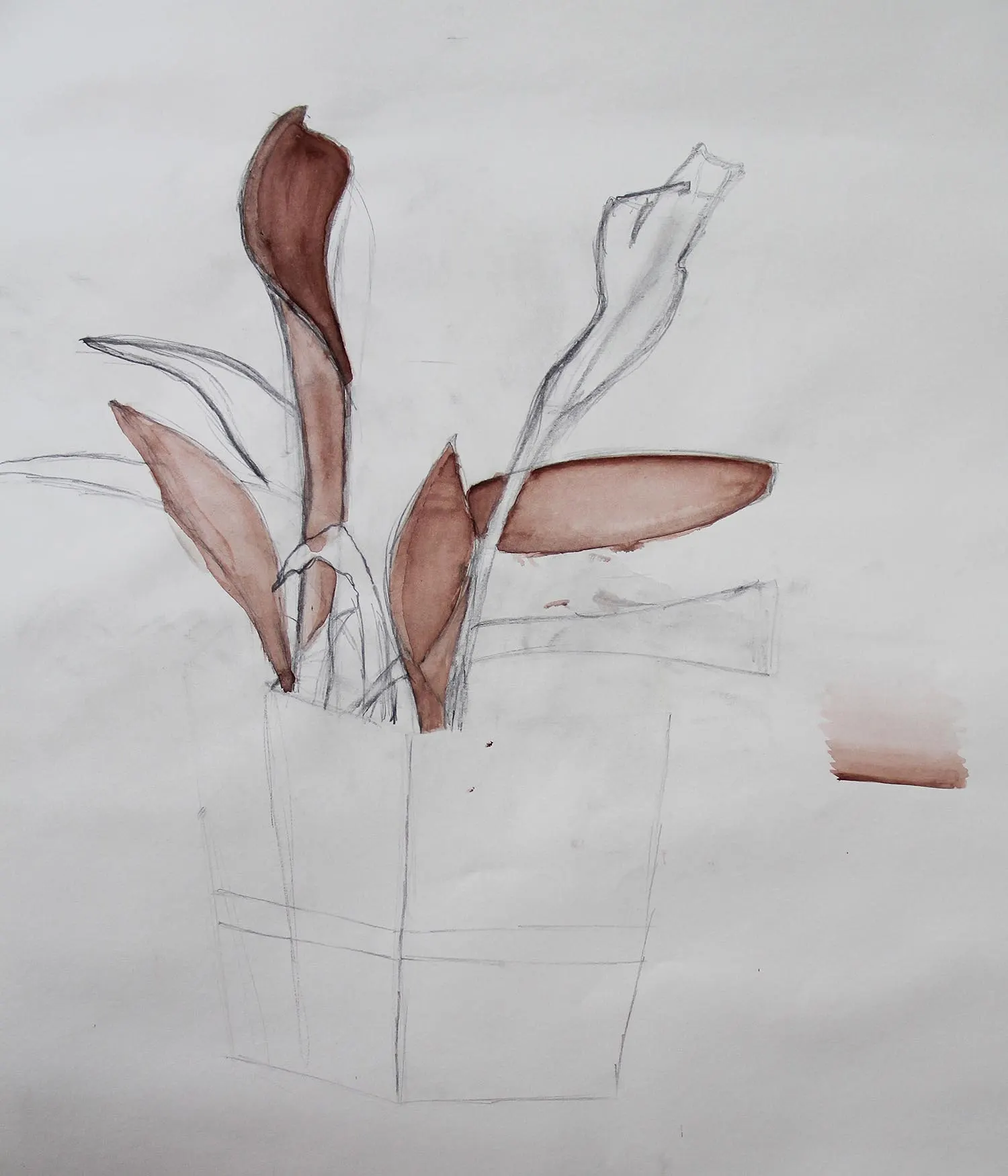 The Fine Arts Studio photo 1