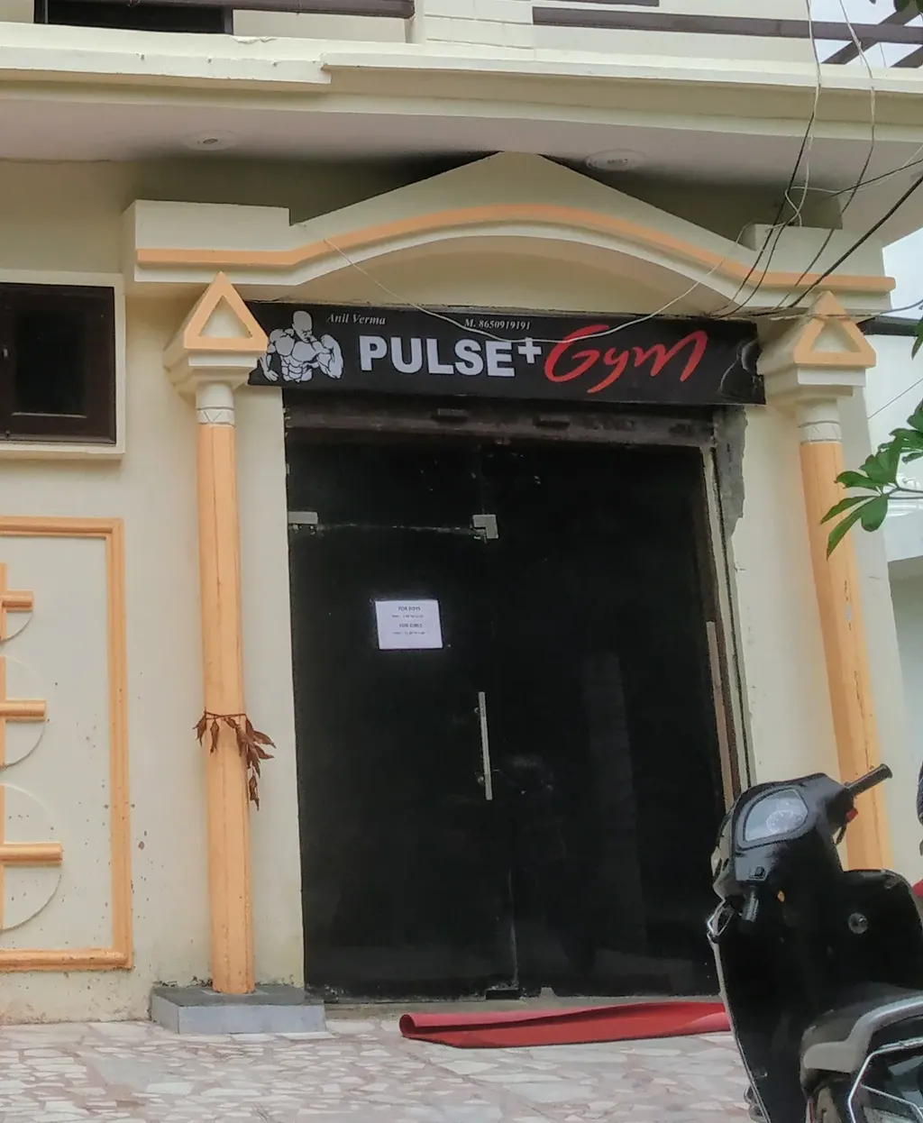 Pulse Plus Gym