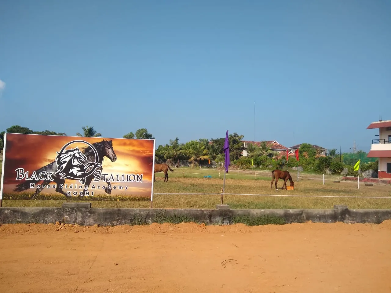 Black Stallion Horse Riding Academy photo 1