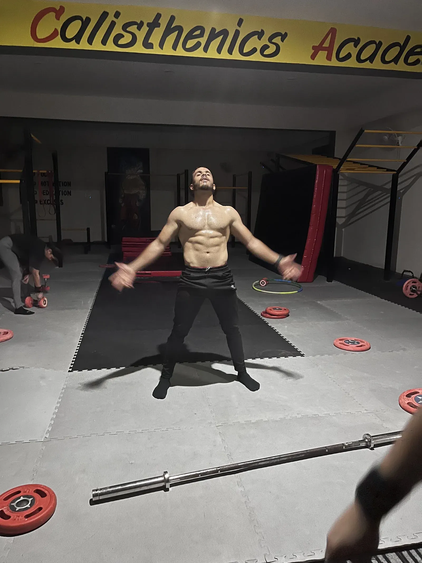 Insane Calisthenics Academy photo 1