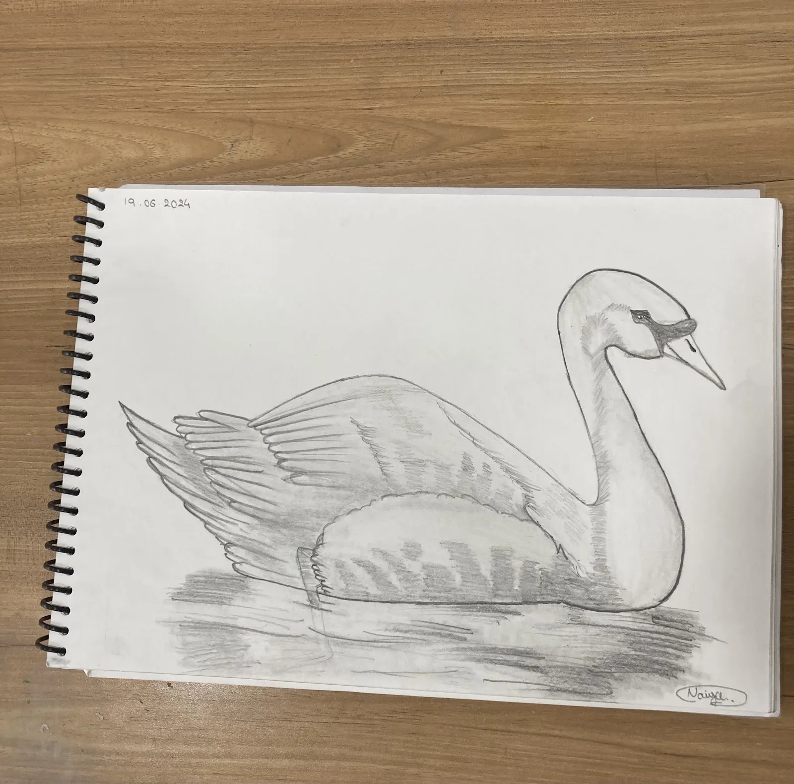 Chitra Shala (चित्र Shala)Art Classes photo 1