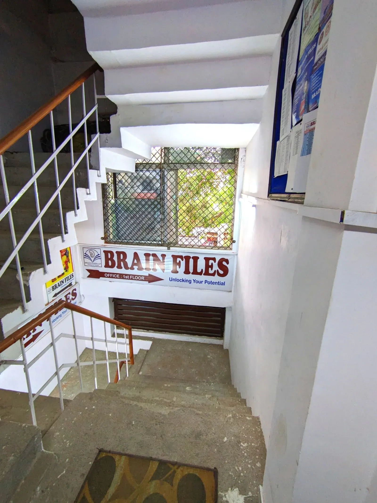 Brain Files photo 1