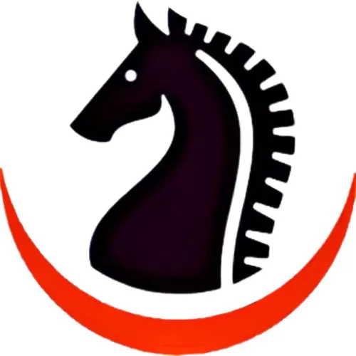 No.1 Chess Academy photo 1
