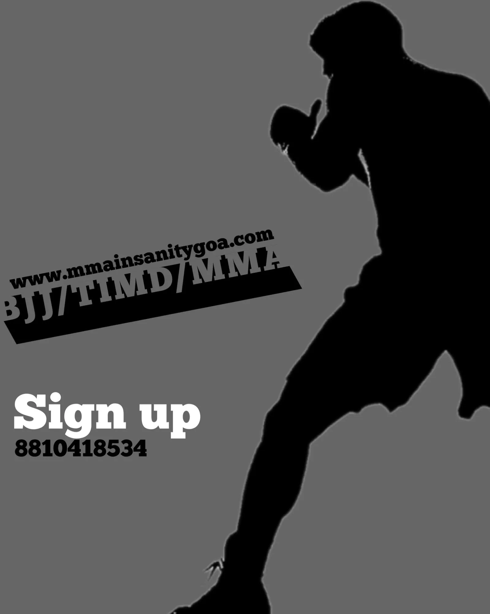 INSANITY ACADEMY FOR MARTIAL ARTS