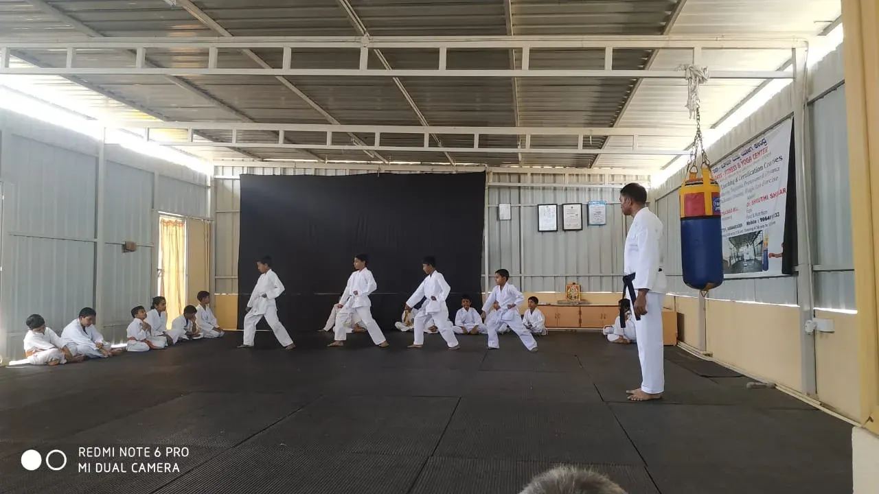 Rays karate and kick boxing,yoga photo 1