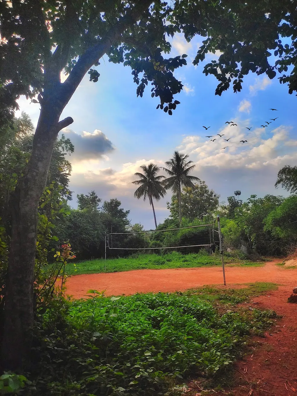 Shyampur Volley Club — Volleyball in Kalinganagar