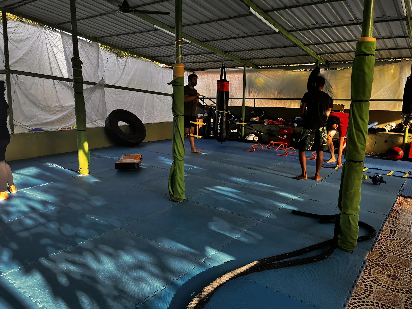 Nativeheads MMA photo 1