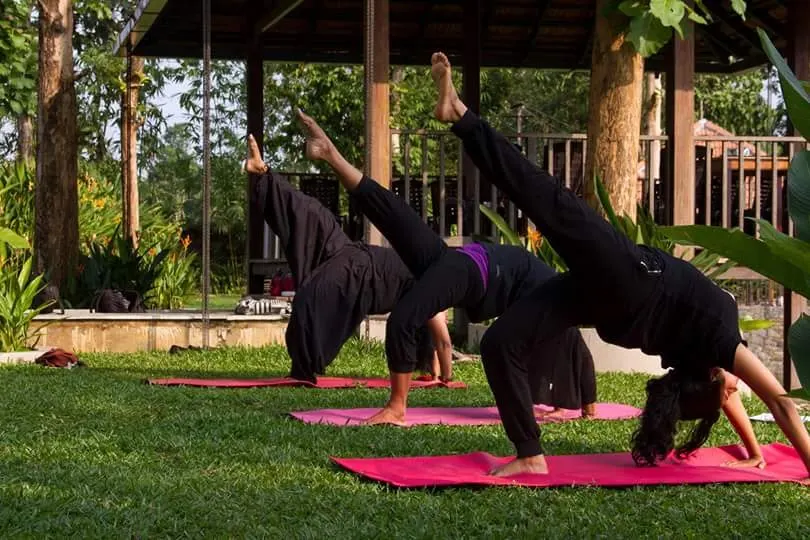 Punarjani Yoga Centre photo 1