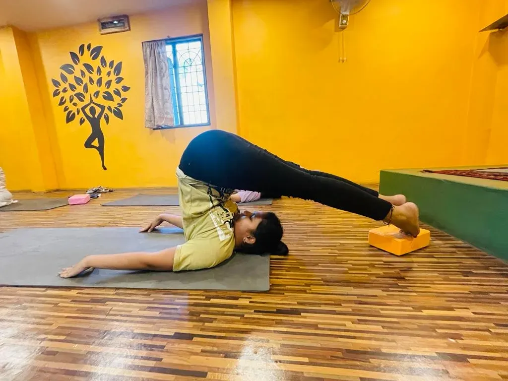 YogaConnect.. photo 1
