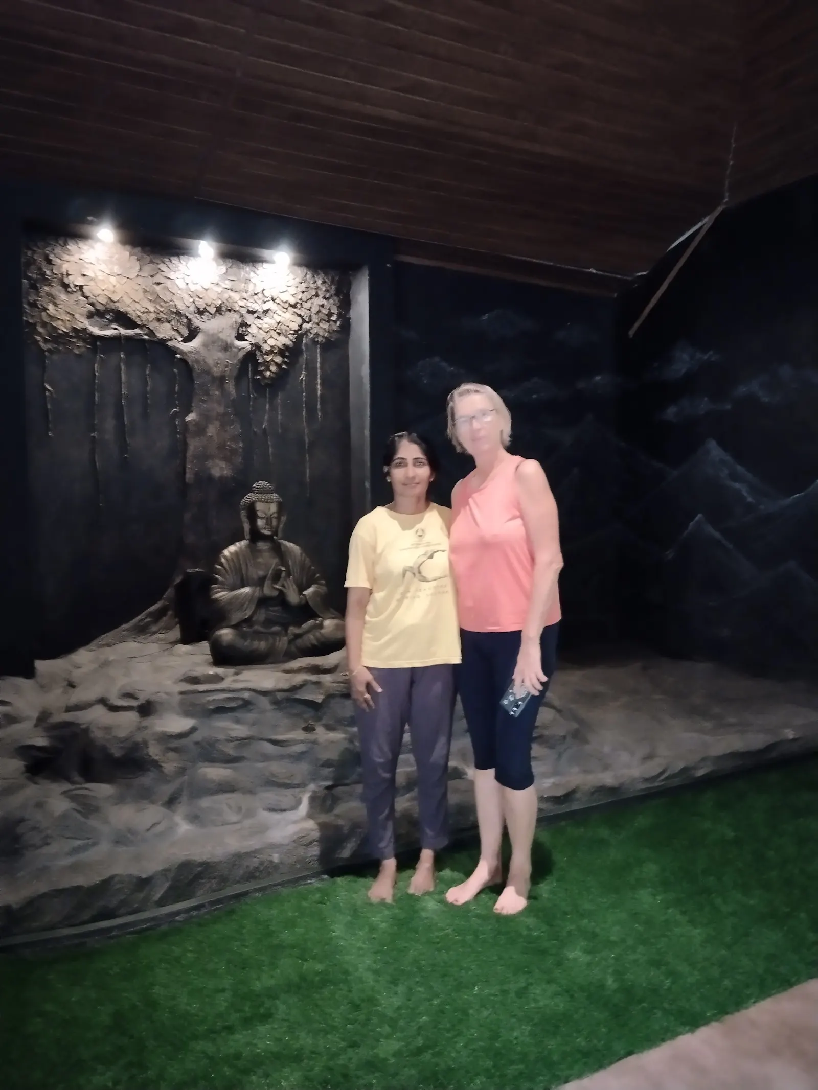 Sivananda International School of Yoga by Shivani photo 1