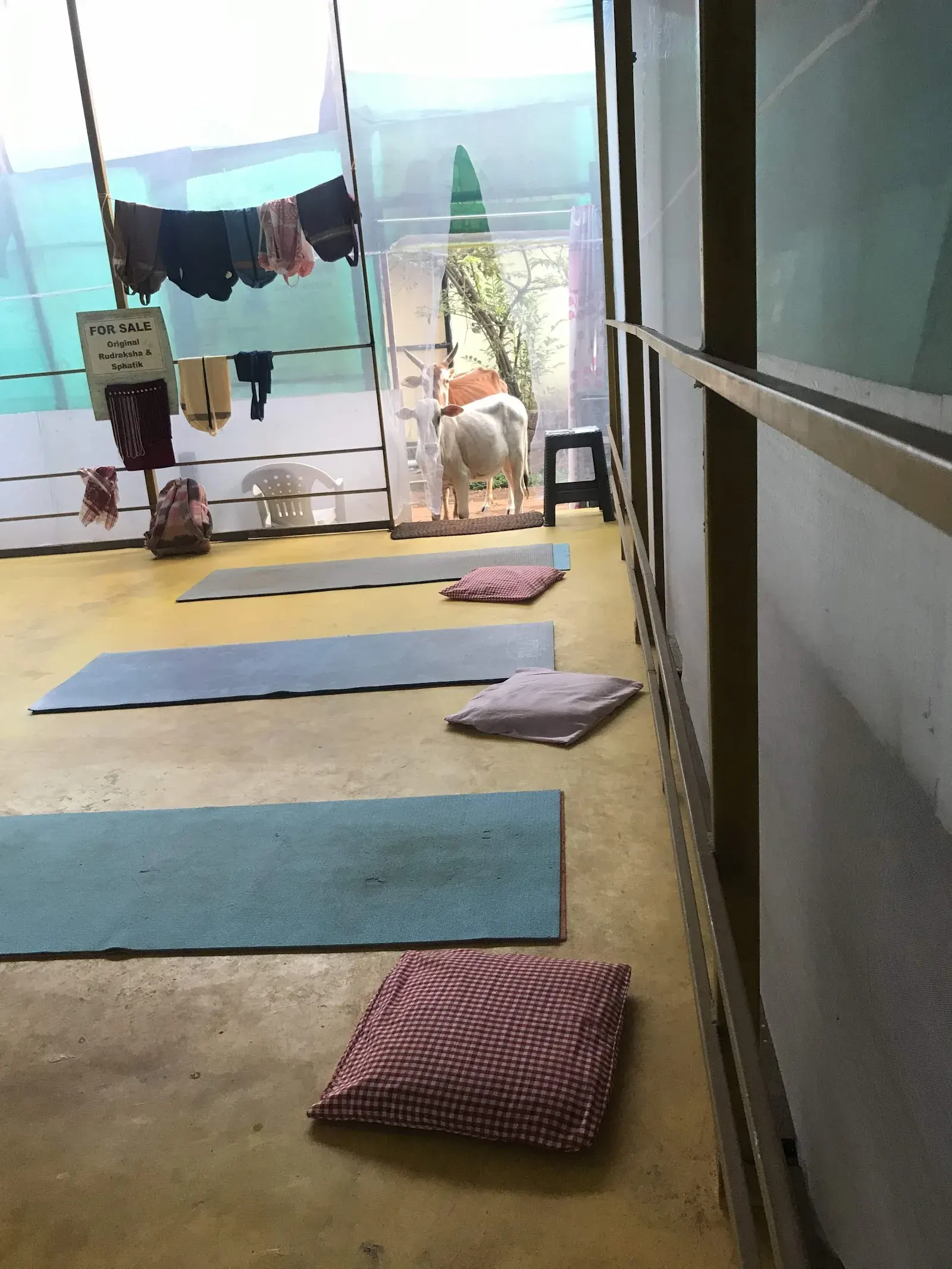 Shiva yoga centre photo 1