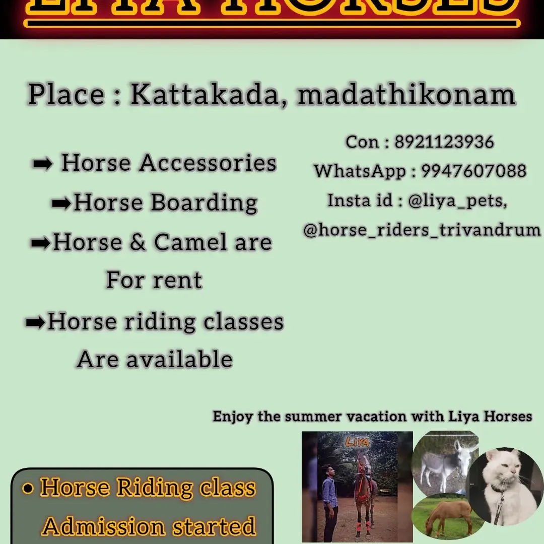 Liya Horse Riding Academy photo 1