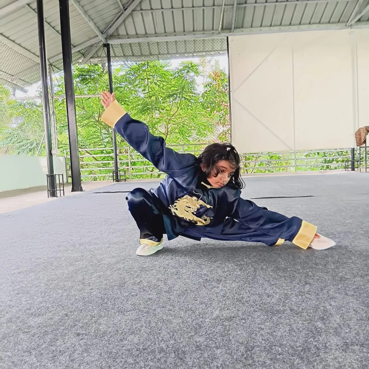 Zen Strike Wushu Academy photo 1