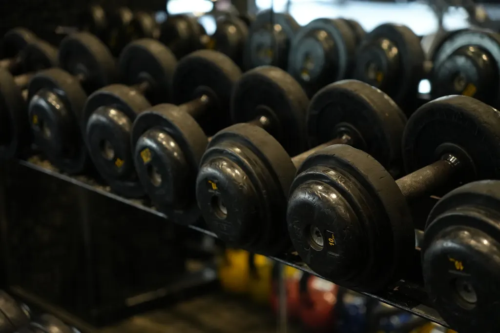 Gymnation The Fitness Hub