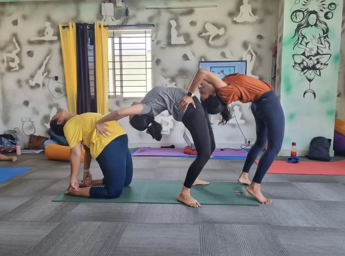 Bodhi School of Yoga photo 1