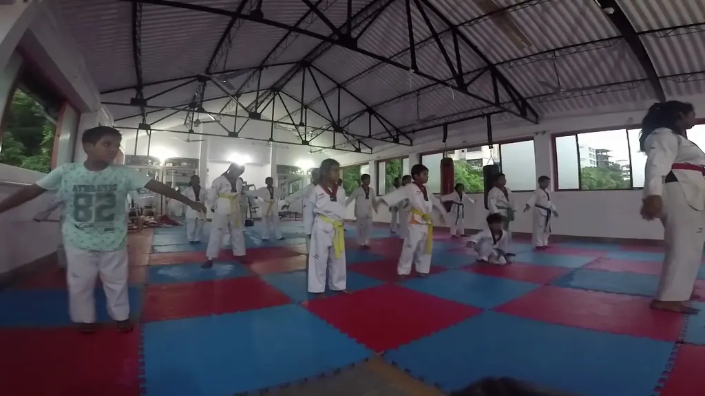 Oscar Luis Taekwondo Academy — Other Sports in Sasmolem