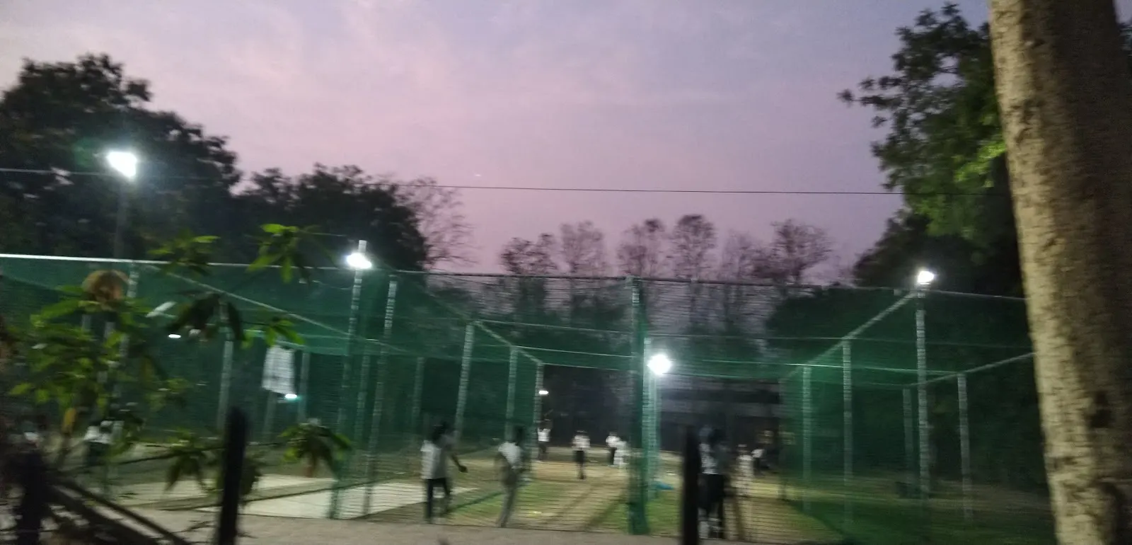 SAI CRICKET ACADEMY photo 1
