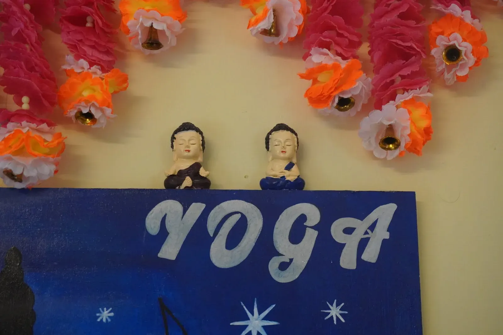 Vishva Yoga Studio photo 1