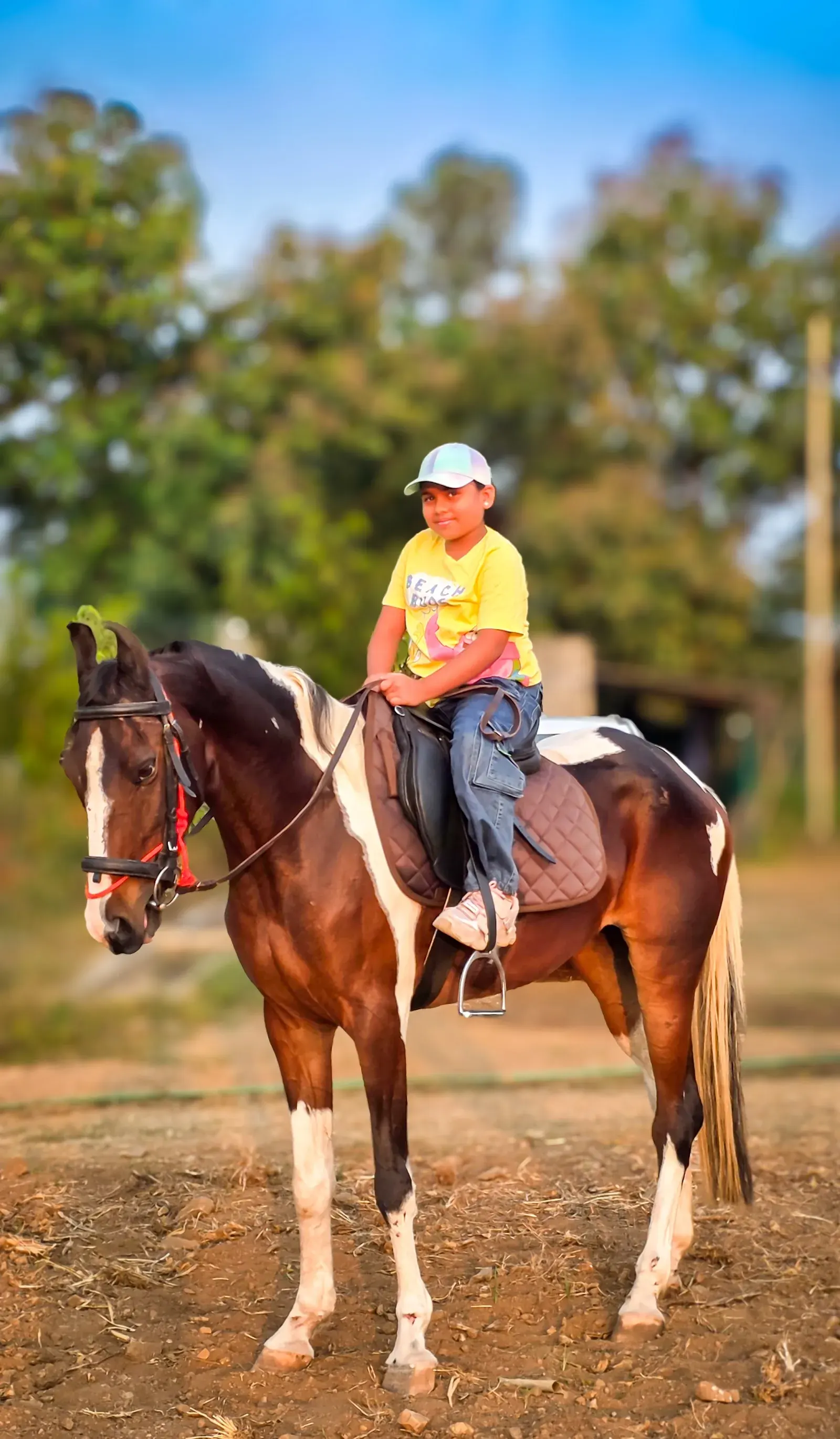 Horse Trail Adventure photo 1