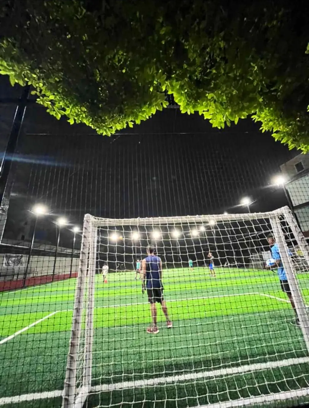Game On Arena - 7V7 Football | Box Cricket | Events — Cricket in Lalmati