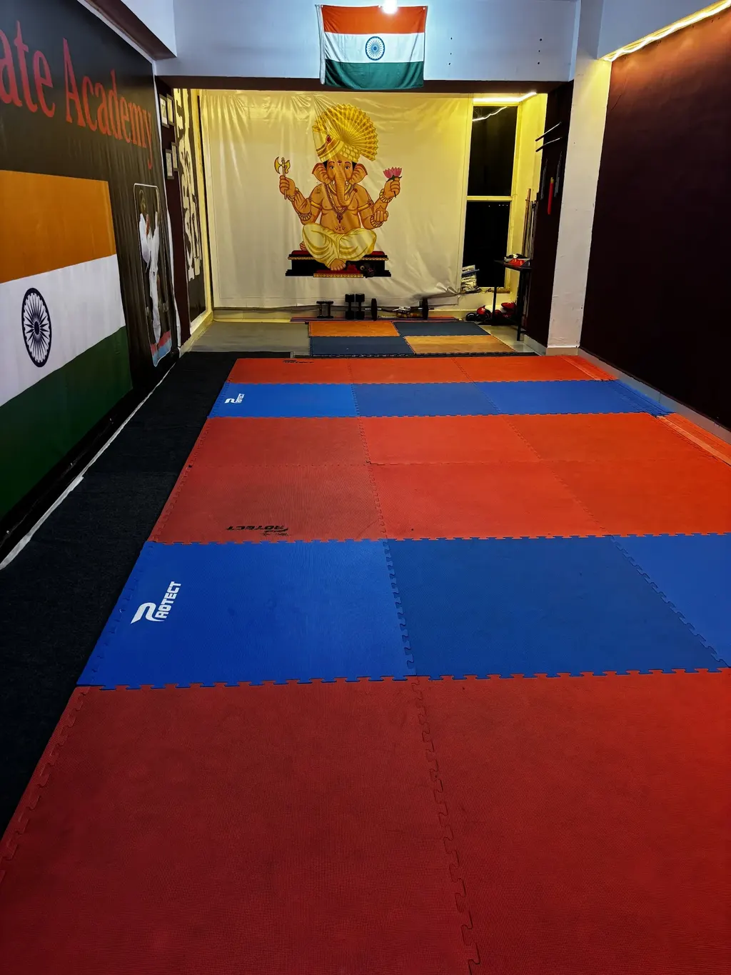 Raya karate Acadmey