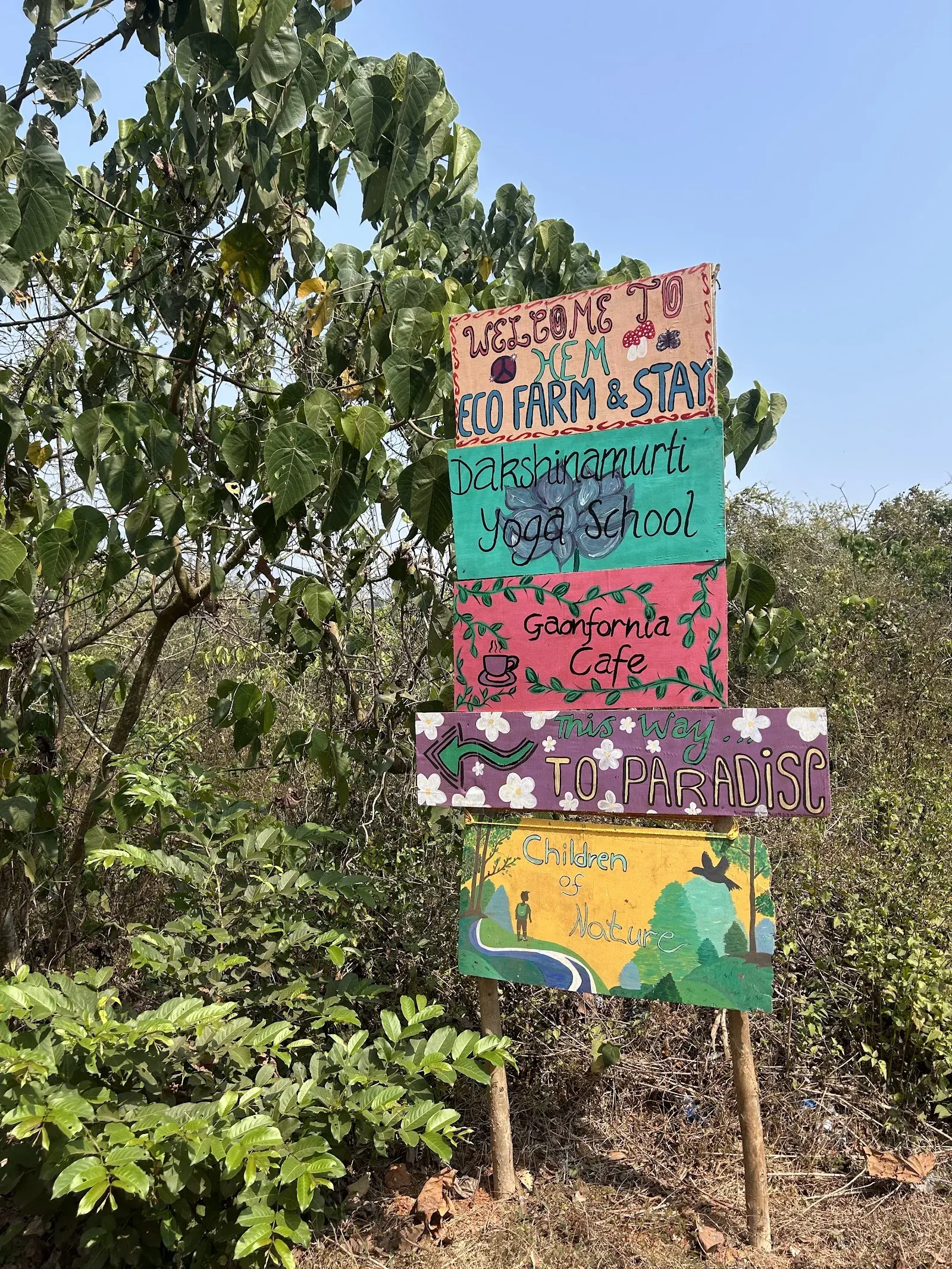 Dakshinamurti Yoga School — Yoga in Sadolxem, Goa
