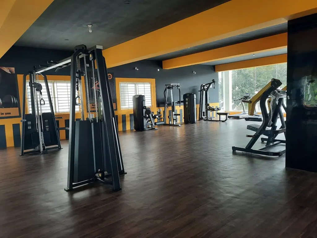 MUSCLE & FITNESS GYM — Strength & Powerlifting in Jp Nagar