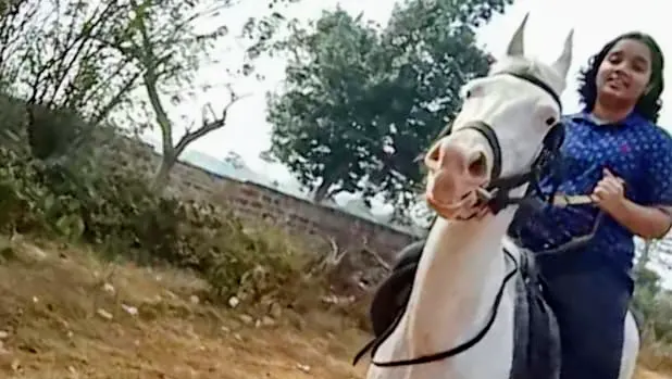 Bhubaneswar Stallion Club — Horse Riding in Uttamapur
