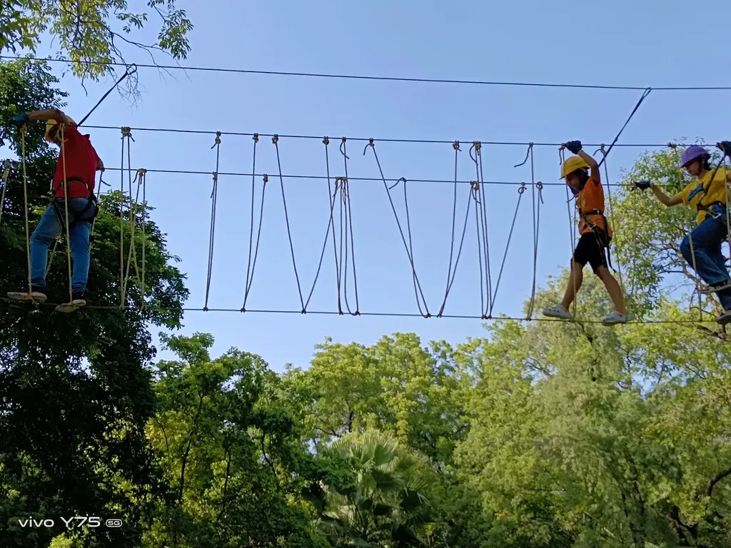 The Adventure Park