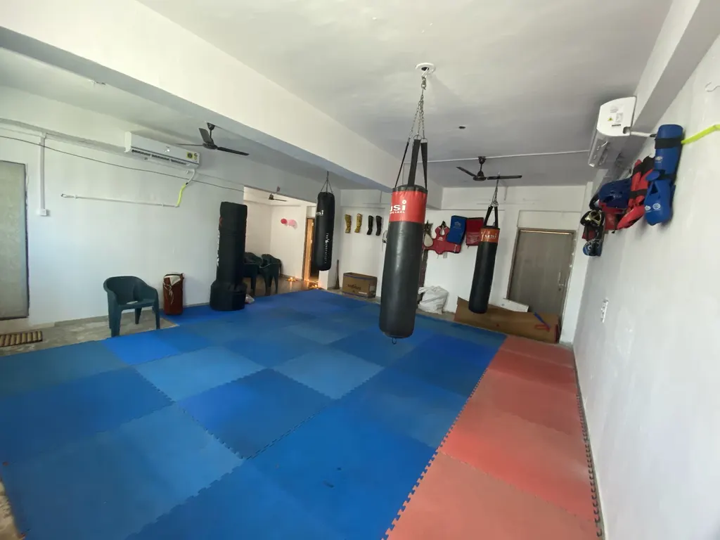 Pro Action Academy of Martial Arts — Martial Arts in Palanpur
