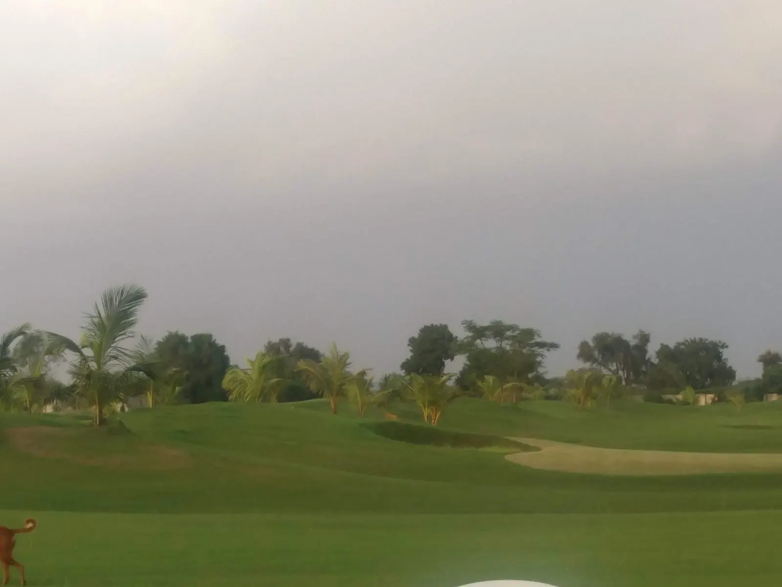 Kensafari Golf Township — Other Sports in Sayaji Park, Vadodara
