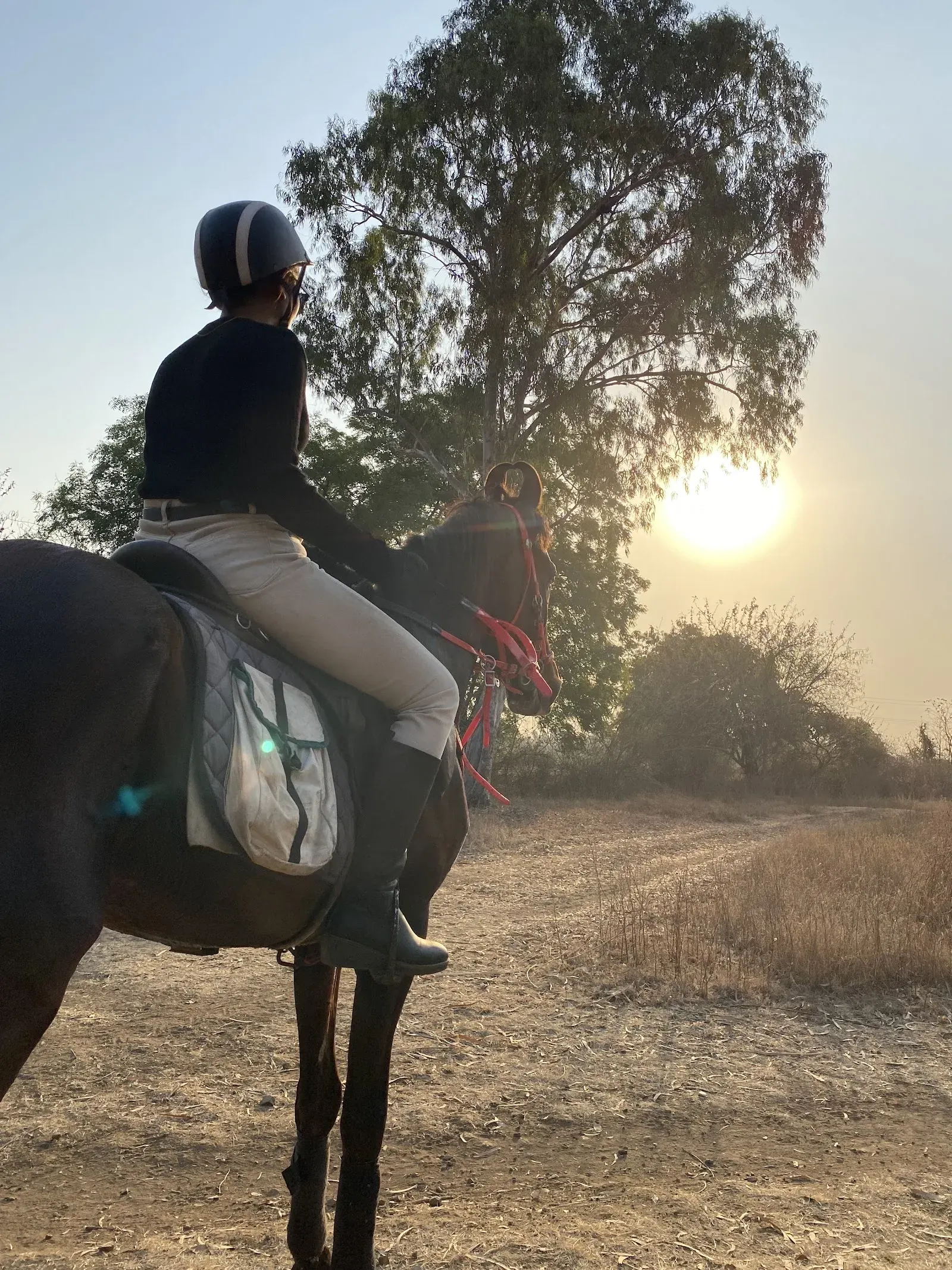 SHIVENDRA'S HORSE FARM — Gym & Fitness in Vihitgaon, Nashik