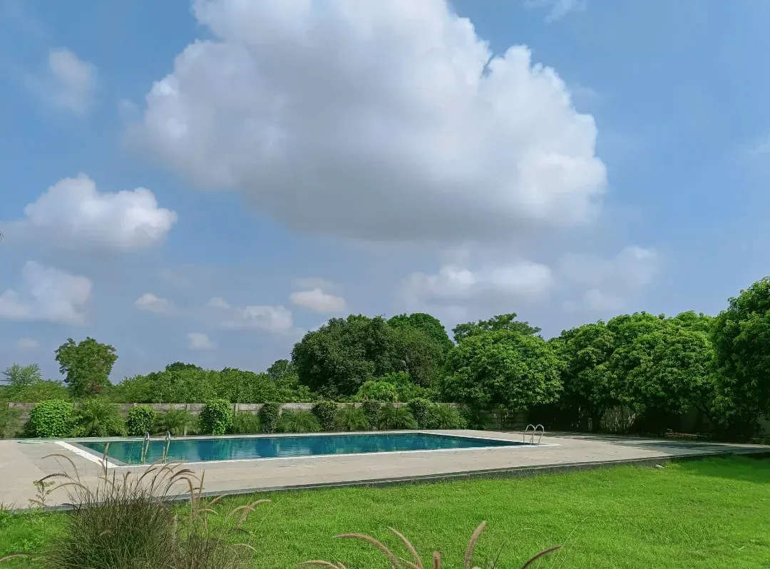 Mango Swimming Pool photo 1