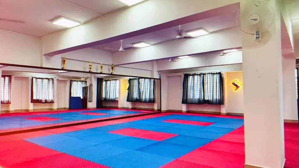 S S KARATE CLUB Pandit Colony