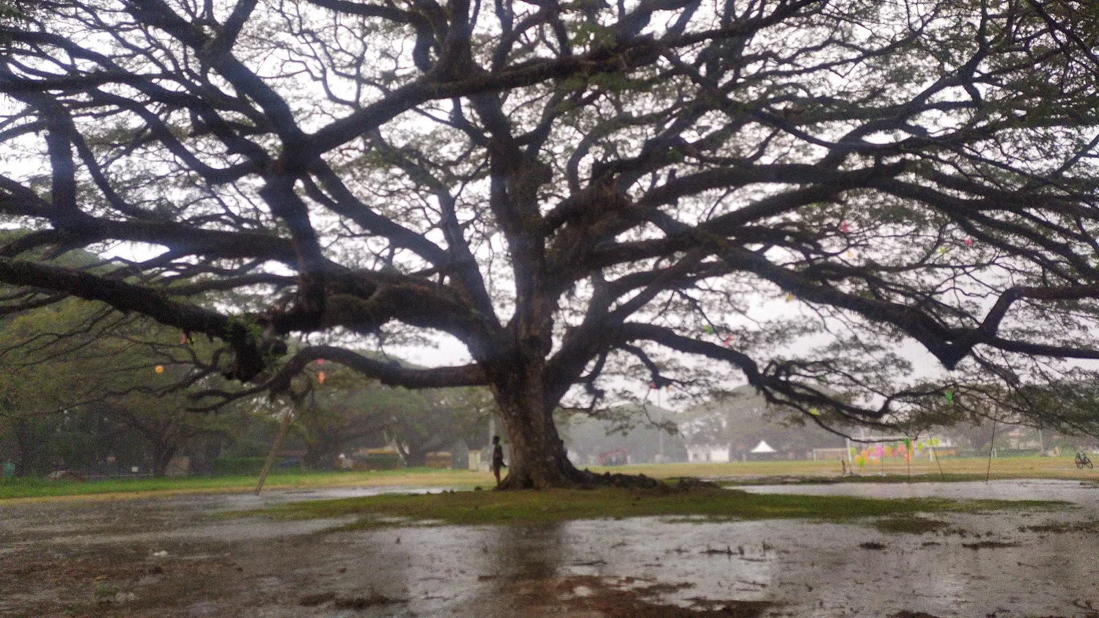 Veli Lions Sports Club — Other Sports in Veli, Kochi