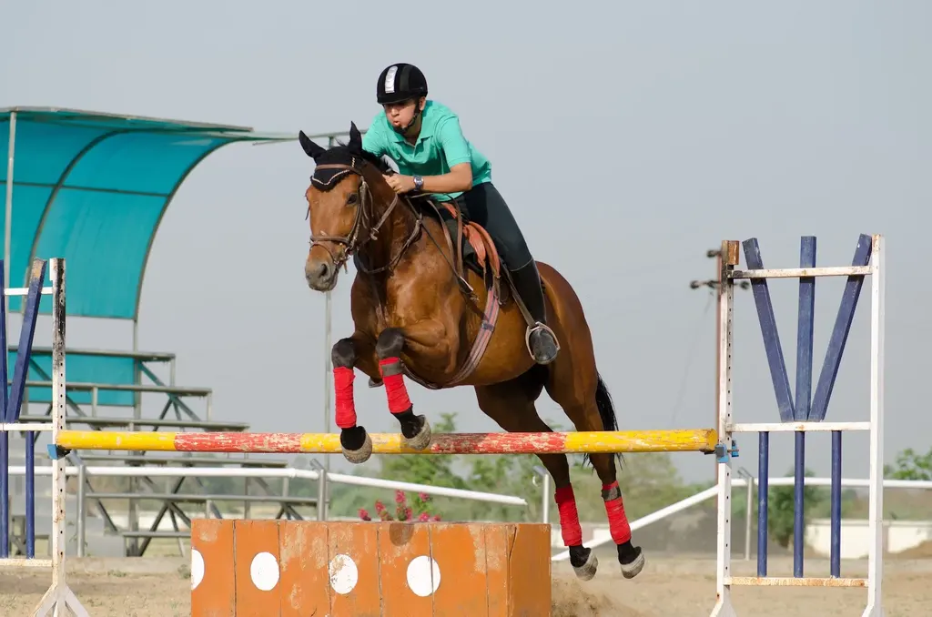 Madhya Pradesh state Equestrian Academy — Gym & Fitness in Bisankhedi