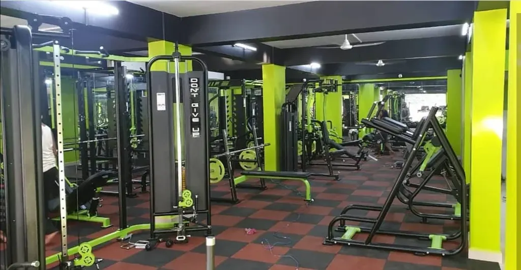 GYMNESIA