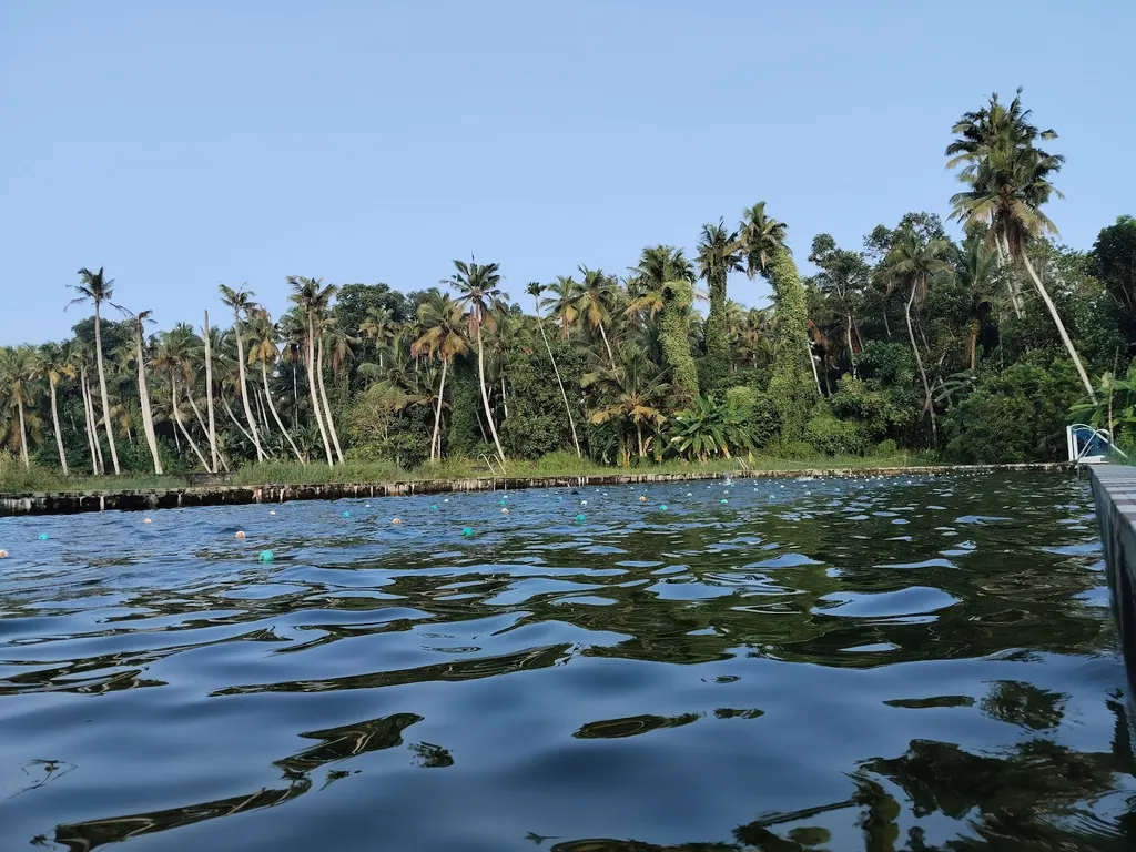 YMA SWIMMING CLUB — Swimming in Thiruvallam