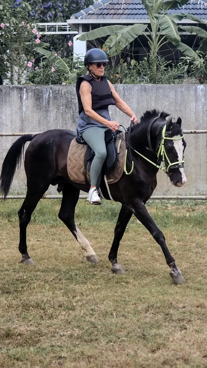 Black cavier horse riding academy — Horse Riding in Kalamassery