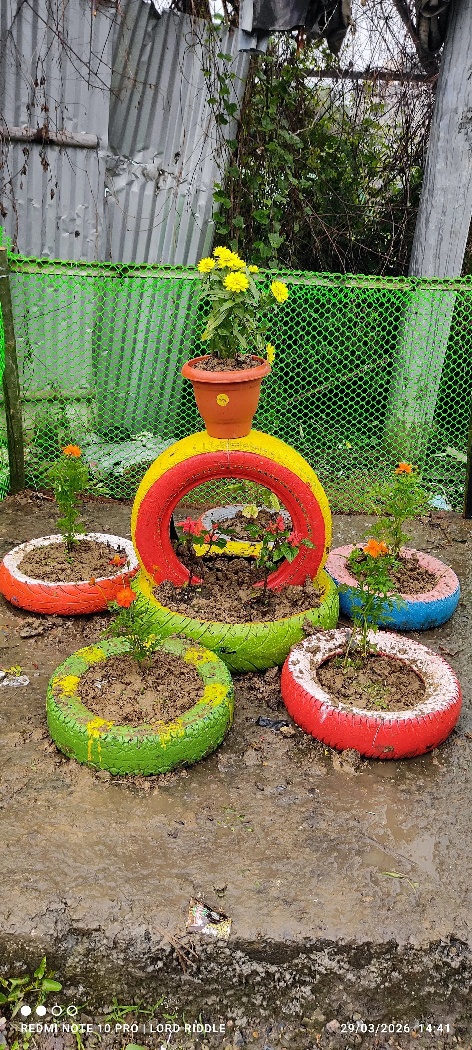 Rangrekha Wall painting Art services — Art & Craft in Hatigaon, Guwahati