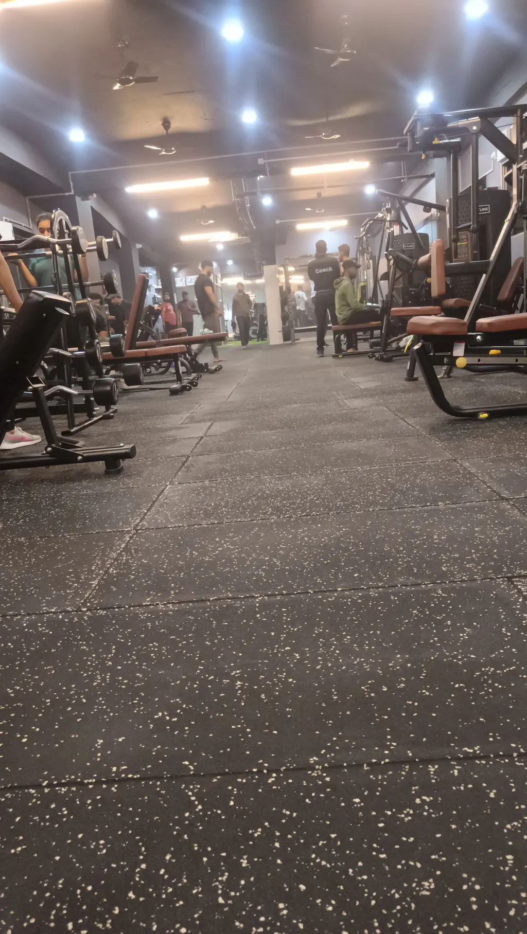 FitBirds