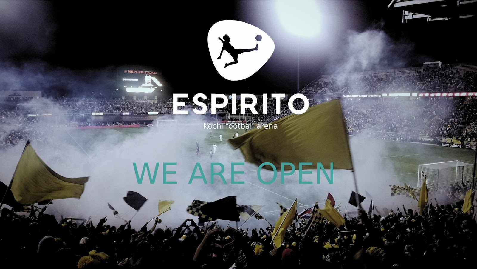 Espirito Football Turf