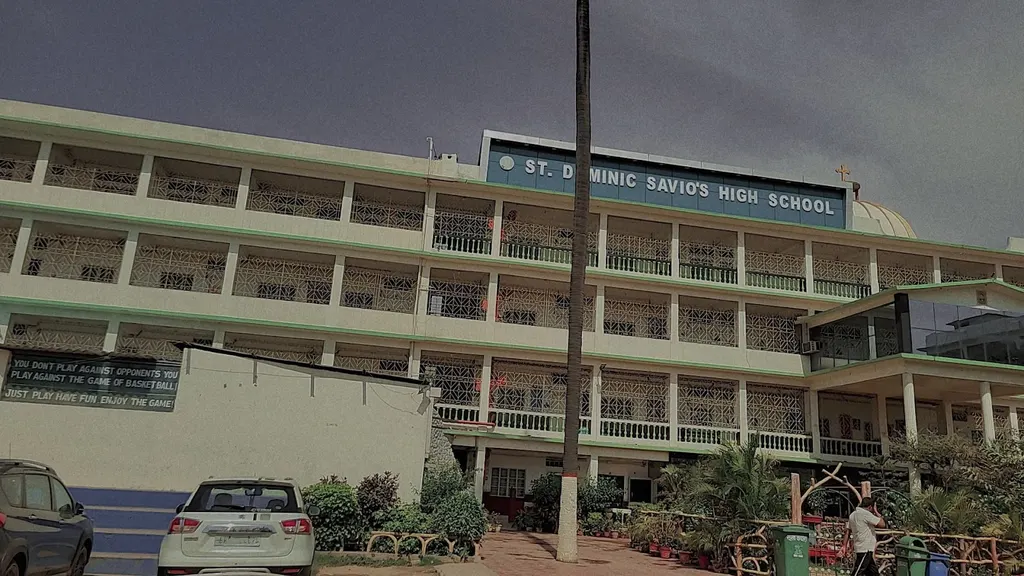 St. Dominic Savio's High School's Swimming pool — Swimming in Nizamat