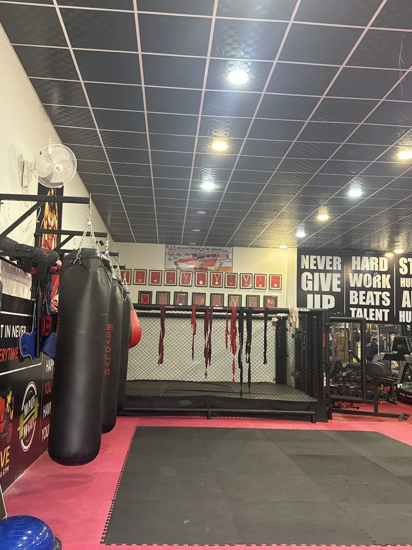 Evolve fight club — Standard Gym in Ganga Nagar, Meerut
