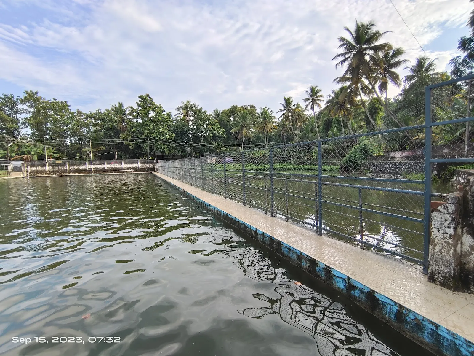 Kunnathu Kulam (Kunnath Pond) — Swimming in Chenkallur, Trivandrum