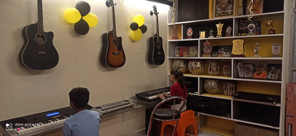 BRIO MUSIC ACADEMY — Music in Amroli